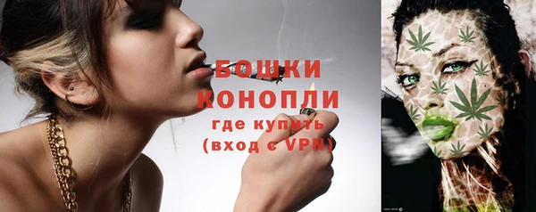 дурь Надым