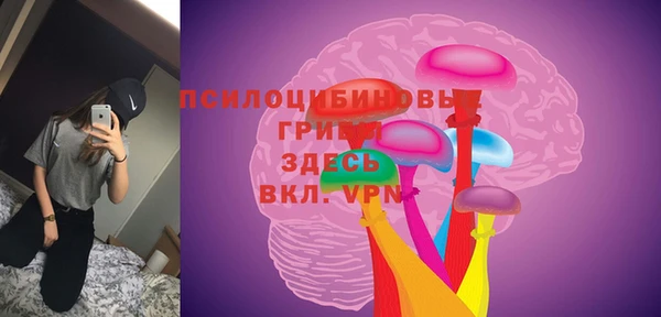 ГАЛЛЮЦИНОГЕННЫЕ ГРИБЫ Навашино